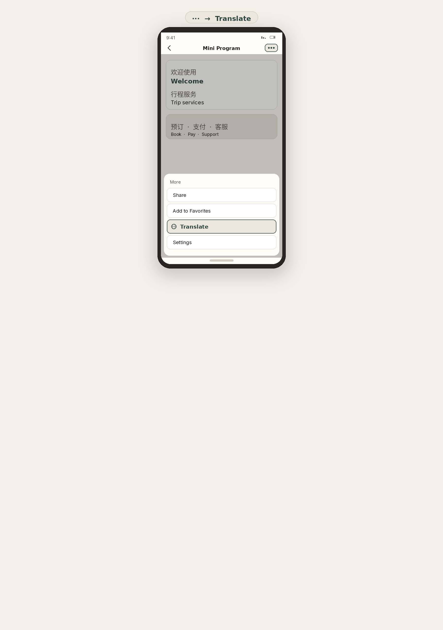Schematic phone UI: inside a Mini Program, ··· menu then Translate